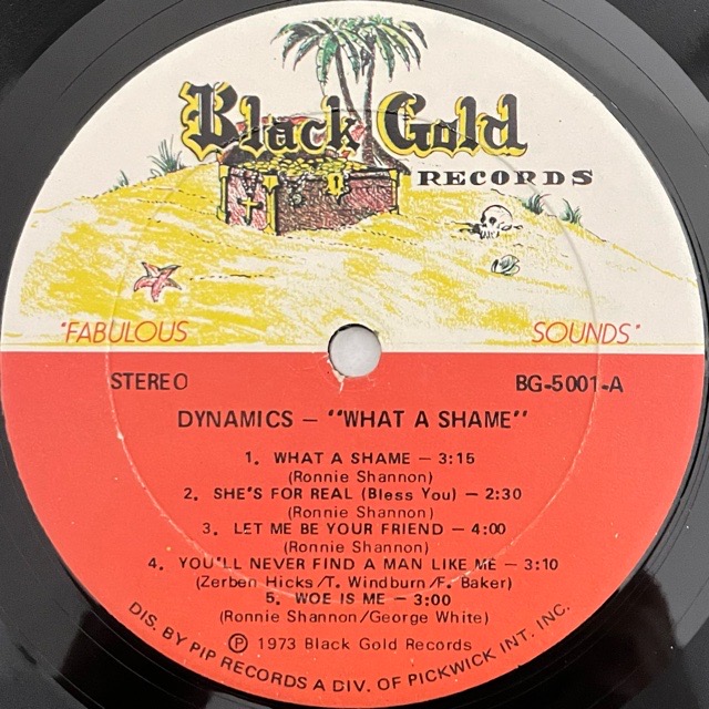 The Dynamics｜What A Shame (LP)｜レコード通販｜vivrantdiscstore