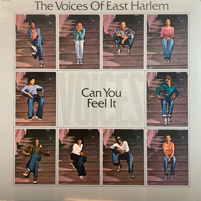 The Voices Of East Harlem｜Can You Feel It (LP)｜レコード通販
