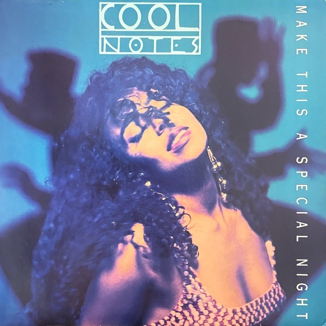 Cool Notes｜Make This A Special Night (7)｜レコード通販